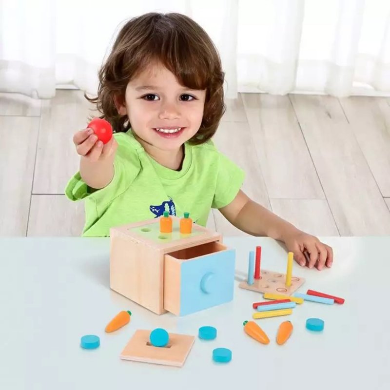 Tooky Toy Drewniana Kostka Edukacyjna Szuflada Pudelko Montessori Sorter Nauka Kolorow 4w1 5 Szt 7